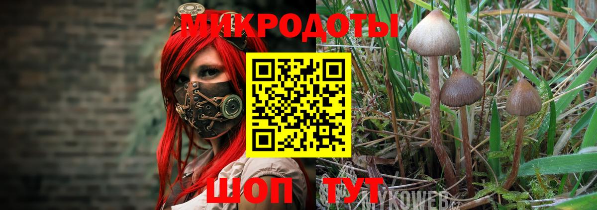 Галлюциногенные грибы мицелий Рославль