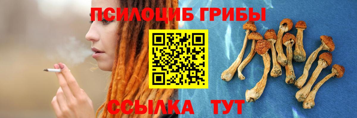Галлюциногенные грибы Psilocybe  Вход с VPN  что такое наркотик  Рославль 